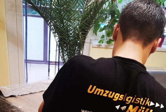 Preise für Ihren Studentenumzug in Käbschütztal